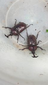 팜모닝 농사, 무엇이든 물어보세요!·참여글 게시글 이미지