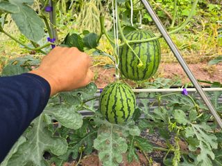 박정원님의 자유주제 · 자유게시판 작성글 사진