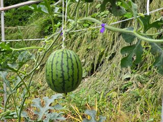 박정원님의 자유주제 · 자유게시판 작성글 사진