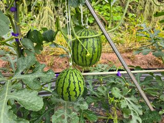 박정원님의 자유주제 · 자유게시판 작성글 사진