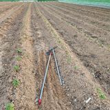 팜모닝 들깨·영농일지 게시글 이미지