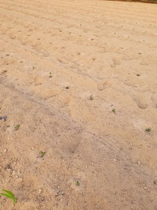 임종옥(용인백암)님의 자유주제 · 자유게시판 작성글 사진