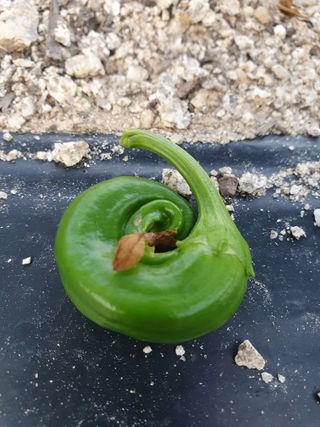 강리~~♡님의 자유주제 · 자유게시판 작성글 사진