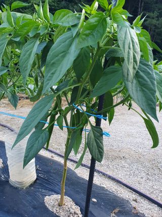 강리~~♡님의 자유주제 · 자유게시판 작성글 사진