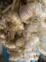 팜모닝 · 게시글 이미지