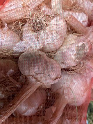 정연희님의 작성글 사진