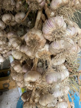 정연희님의 작성글 사진