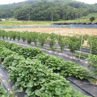 희상님의 자유주제 · 자유게시판 작성글 사진