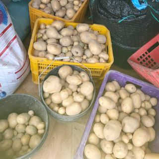 희상님의 자유주제 · 자유게시판 작성글 사진