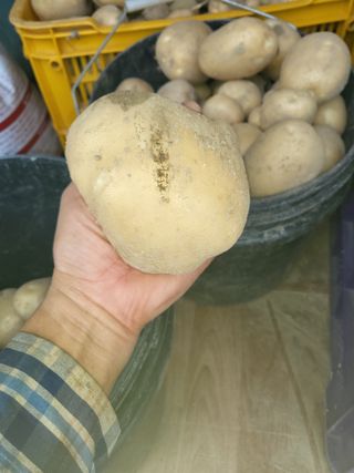 희상님의 자유주제 · 자유게시판 작성글 사진