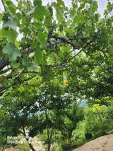 팜모닝 자유주제·자유게시판 게시글 이미지