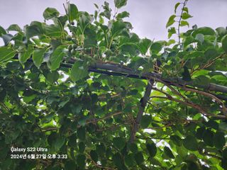 용수리또리농장님의 자유주제 · 자유게시판 작성글 사진