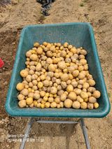 팜모닝 감자·영농일지 게시글 이미지