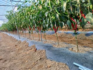 김영천님의 자유주제 · 사진전 작성글 사진