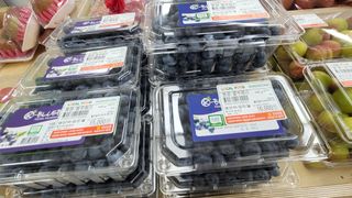 나산 블루베리농원님의 블루베리 · 영농일지 작성글 사진