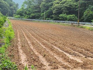효명 이승배님의 들깨 · 영농일지 작성글 사진