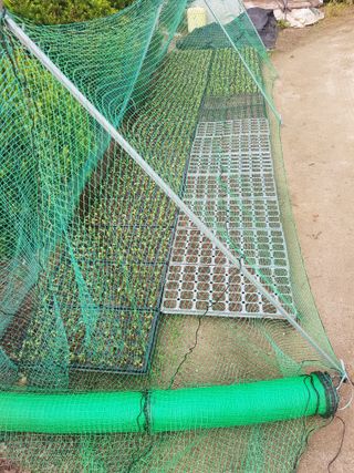 전병일님의 콩 · 영농일지 작성글 사진