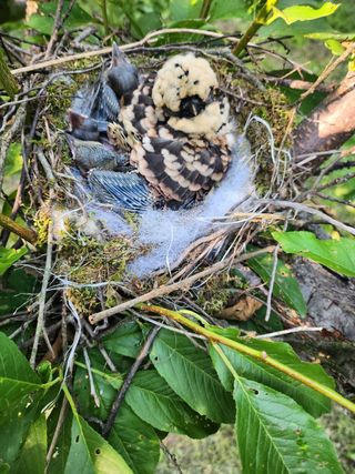 욕심내지말자님의 자유주제 · 자유게시판 작성글 사진