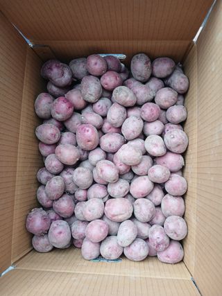 최광순님의 자유주제 · 자유게시판 작성글 사진