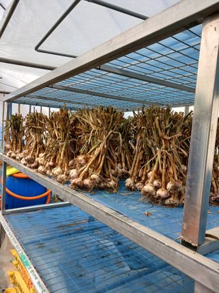 최광순님의 자유주제 · 자유게시판 작성글 사진