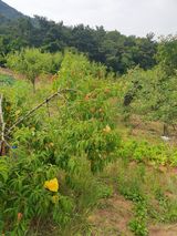 팜모닝 자유주제·사진전 게시글 이미지