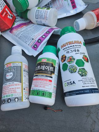 스마일님의 사과 · 영농일지 작성글 사진