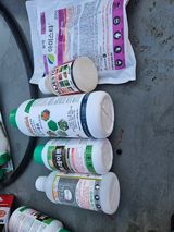 팜모닝 자유주제·자유게시판 게시글 이미지