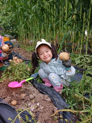 KhM식물을사랑님의 감자 · 영농일지 작성글 사진