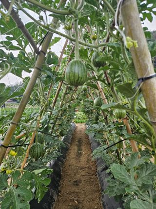 osm님의 자유주제 · 자유게시판 작성글 사진