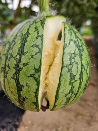 osm님의 자유주제 · 자유게시판 작성글 사진