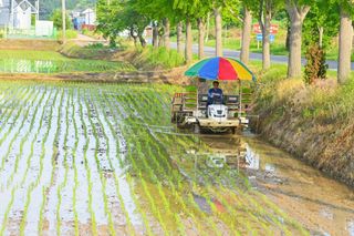 박짱구님의 자유주제 · 자유게시판 작성글 사진