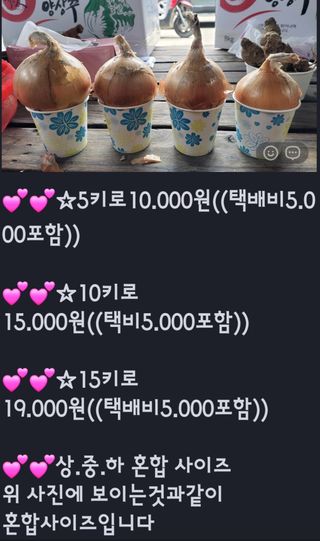 농사꾼 단비님의 작성글 사진