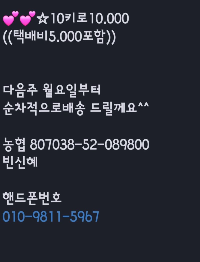 농사꾼 단비님의 장터 판매 상품 [24년햇 만생종 (저장용) 양파] 첨부 사진