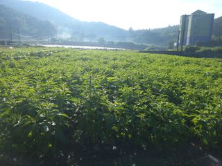 박창식님의 자유주제 · 자유게시판 작성글 사진