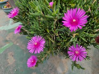 강류담15632님의 자유주제 · 자유게시판 작성글 사진