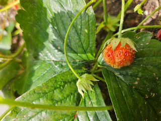 강류담15632님의 자유주제 · 자유게시판 작성글 사진