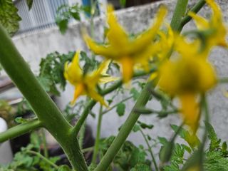 강류담15632님의 자유주제 · 자유게시판 작성글 사진