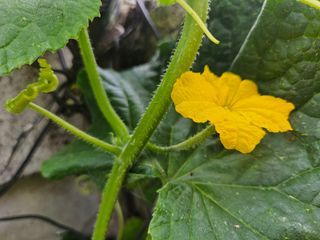 강류담15632님의 자유주제 · 자유게시판 작성글 사진