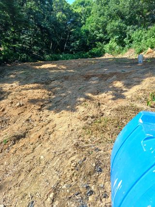 귤29729님의 농사, 무엇이든 물어보세요! · 참여글 작성글 사진