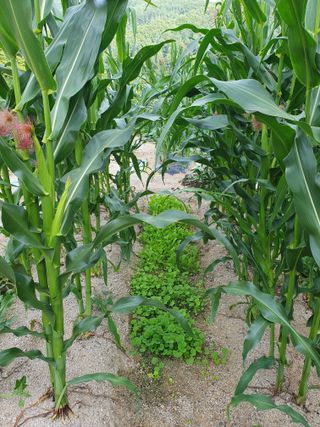 강리~~♡님의 자유주제 · 자유게시판 작성글 사진