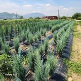 팜모닝 자유주제·자유게시판 게시글 이미지