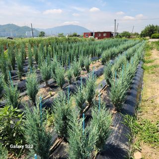 우리꽃님의 자유주제 · 자유게시판 작성글 사진