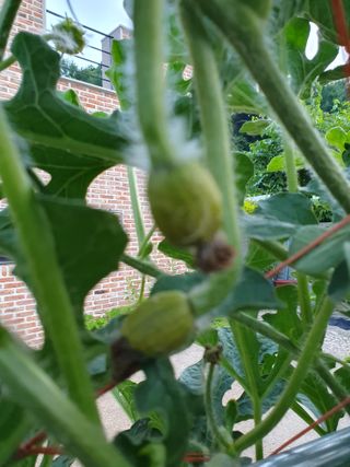 강리~~♡님의 자유주제 · 자유게시판 작성글 사진