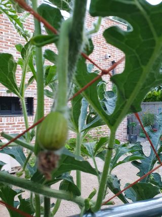 강리~~♡님의 자유주제 · 자유게시판 작성글 사진