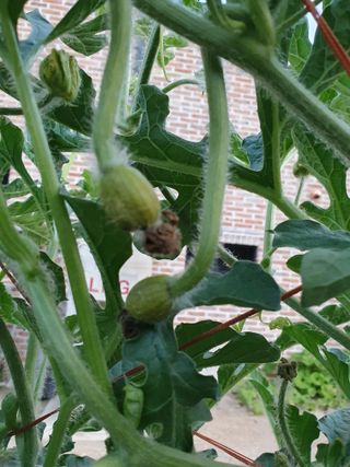 강리~~♡님의 자유주제 · 자유게시판 작성글 사진