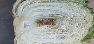 최윤호님의 자유주제 · 자유게시판 작성글 사진