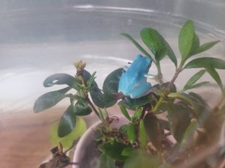 정홍님의 자유주제 · 자유게시판 작성글 사진