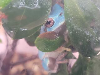 정홍님의 자유주제 · 자유게시판 작성글 사진