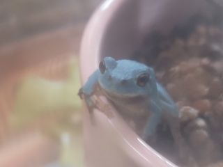 정홍님의 자유주제 · 자유게시판 작성글 사진