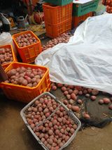 팜모닝 자유주제·자유게시판 게시글 이미지